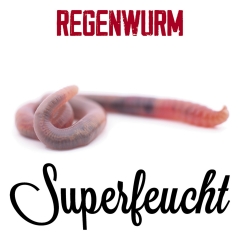 SF_Regenwurm_Cover_3000x3000px_210818_1_final